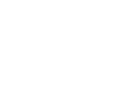 Stüssy